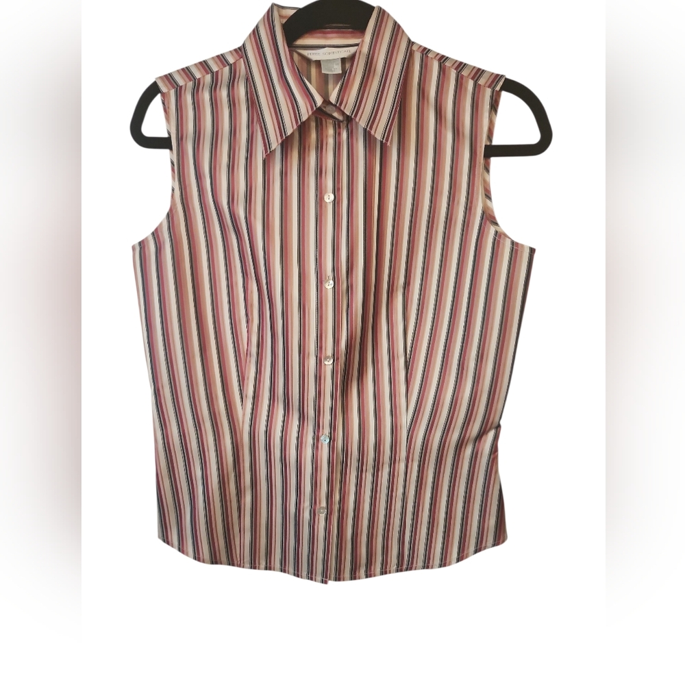 Petite Sophisticate Multicolor Striped Button Down Shirt